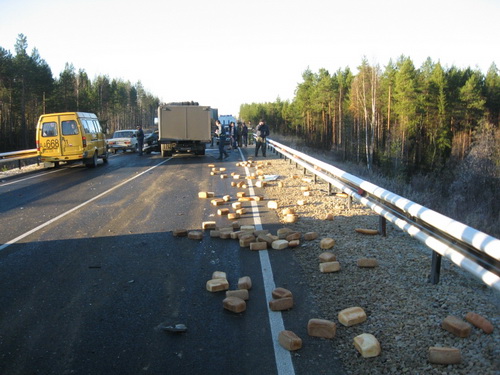 Первые жертвы гололеда Первые жертвы гололеда
