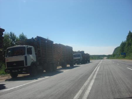 Картина маслом