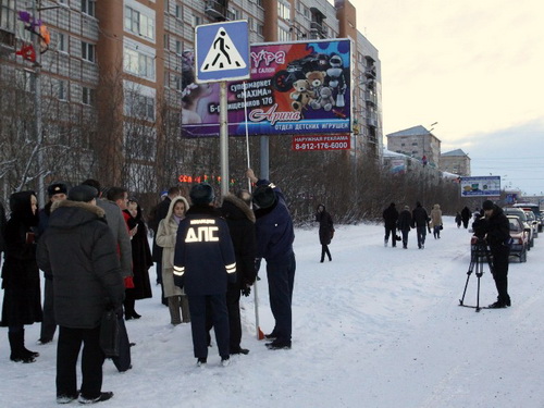 Охота на зебру продолжается Охота на зебру продолжается