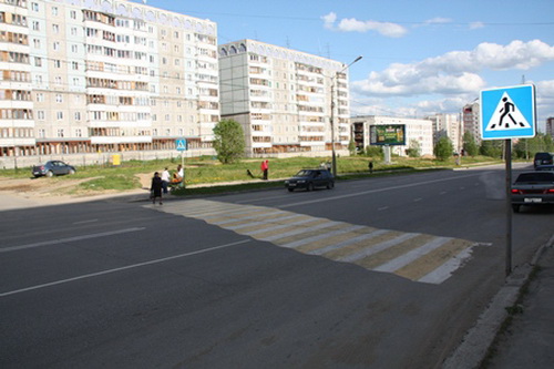 В Сыктывкаре появилась желтая Зебра