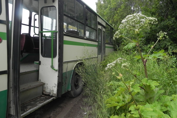 В Сыктывкаре КАМаз вытолкнул автобус с пассажирами в кювет В Сыктывкаре КАМаз вытолкнул автобус с пассажирами в кювет